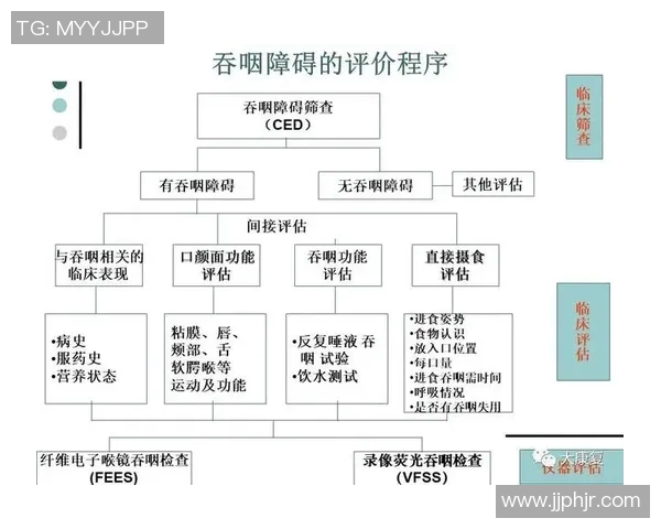 北京乒乓球队近期状态分析与表现评估的全面数据解读